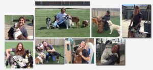 dog boarding staff
