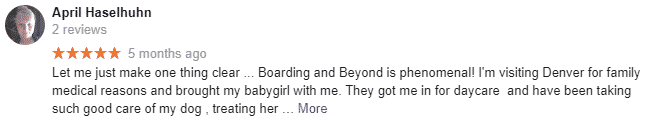 Boarding & Beyond Review April
