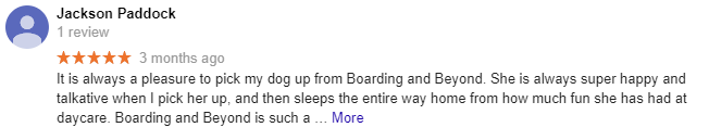 Boarding & Beyond Review Jackson