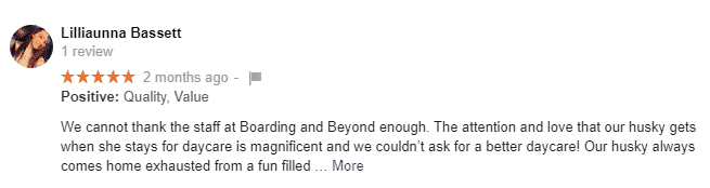Boarding & Beyond Review Lilliaunna