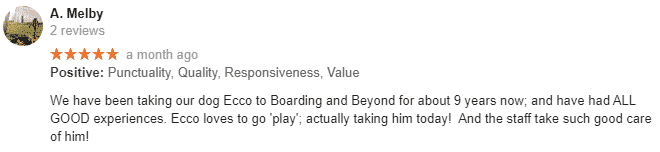Boarding & Beyond Review Melby